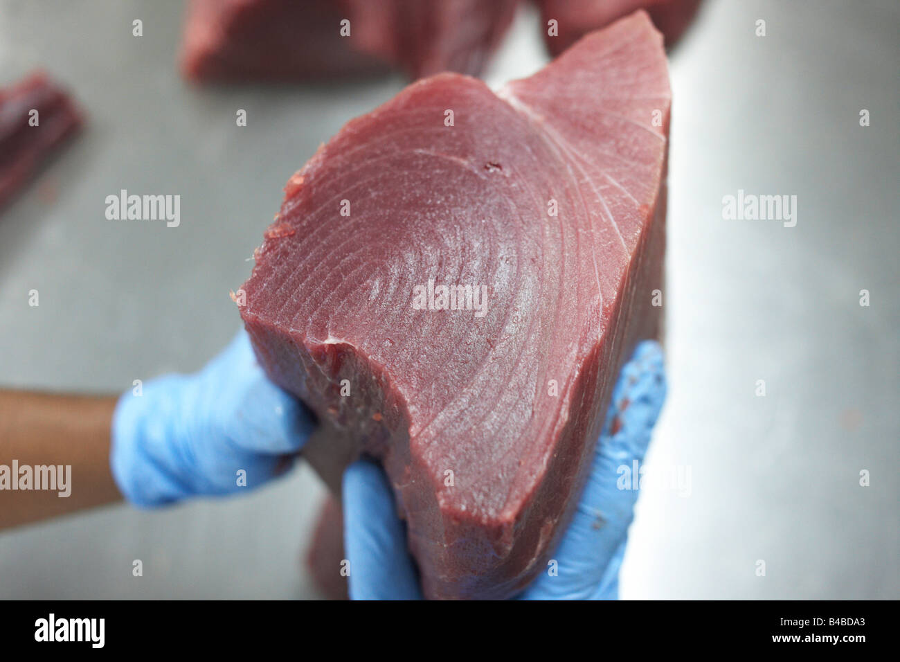 Detail of yellowfin tuna steak at Cyprea Marine Foods' EU-standard fish factory on Himmafushi island, Republic of Maldives Stock Photo