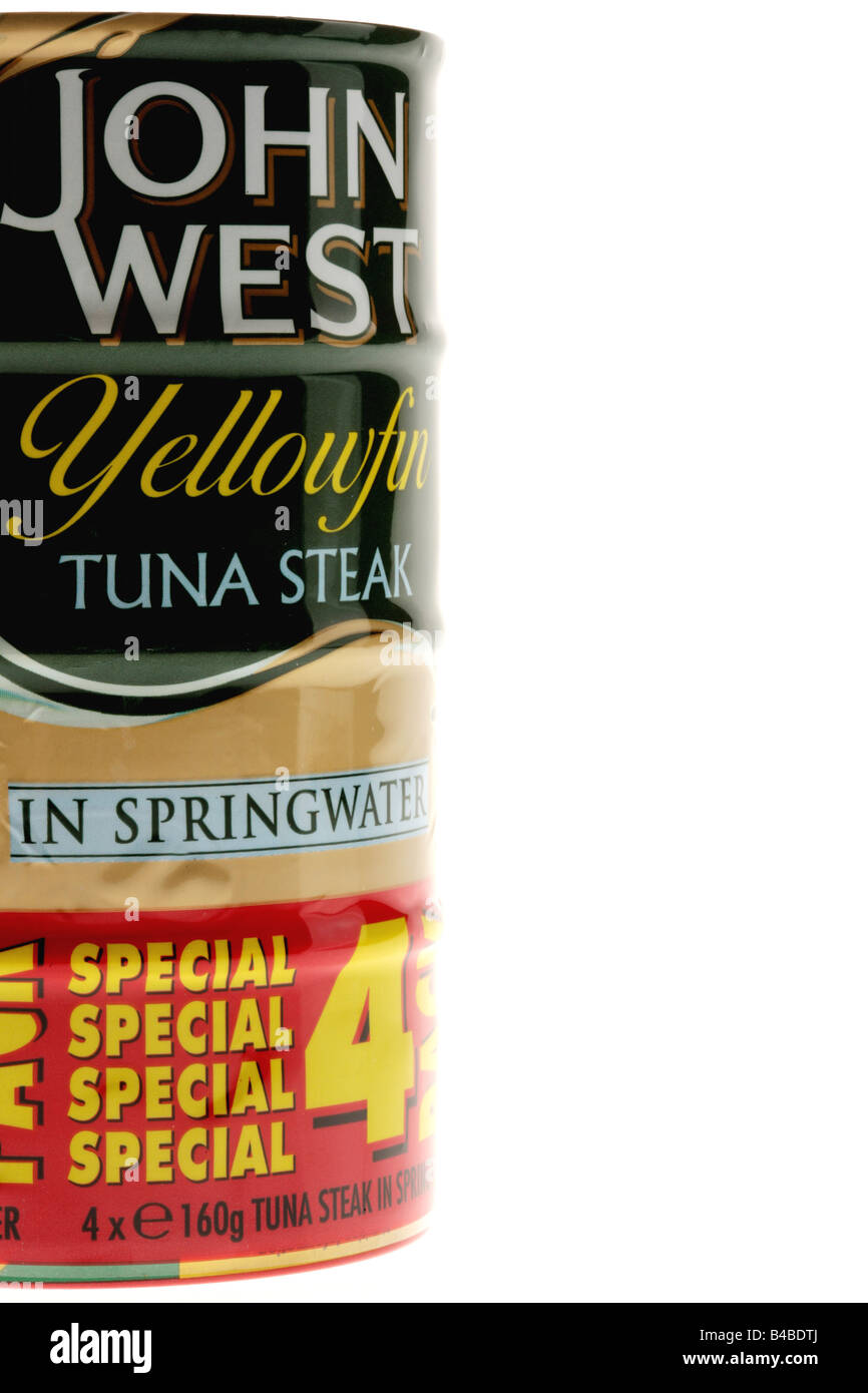 Multipack Tins of Yellowfin Tuna Fish Stock Photo Alamy