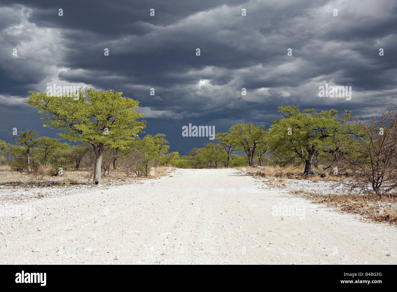 A scenic view of a distant thunderstorm on the Etosha National Park Namibia Stock Photo