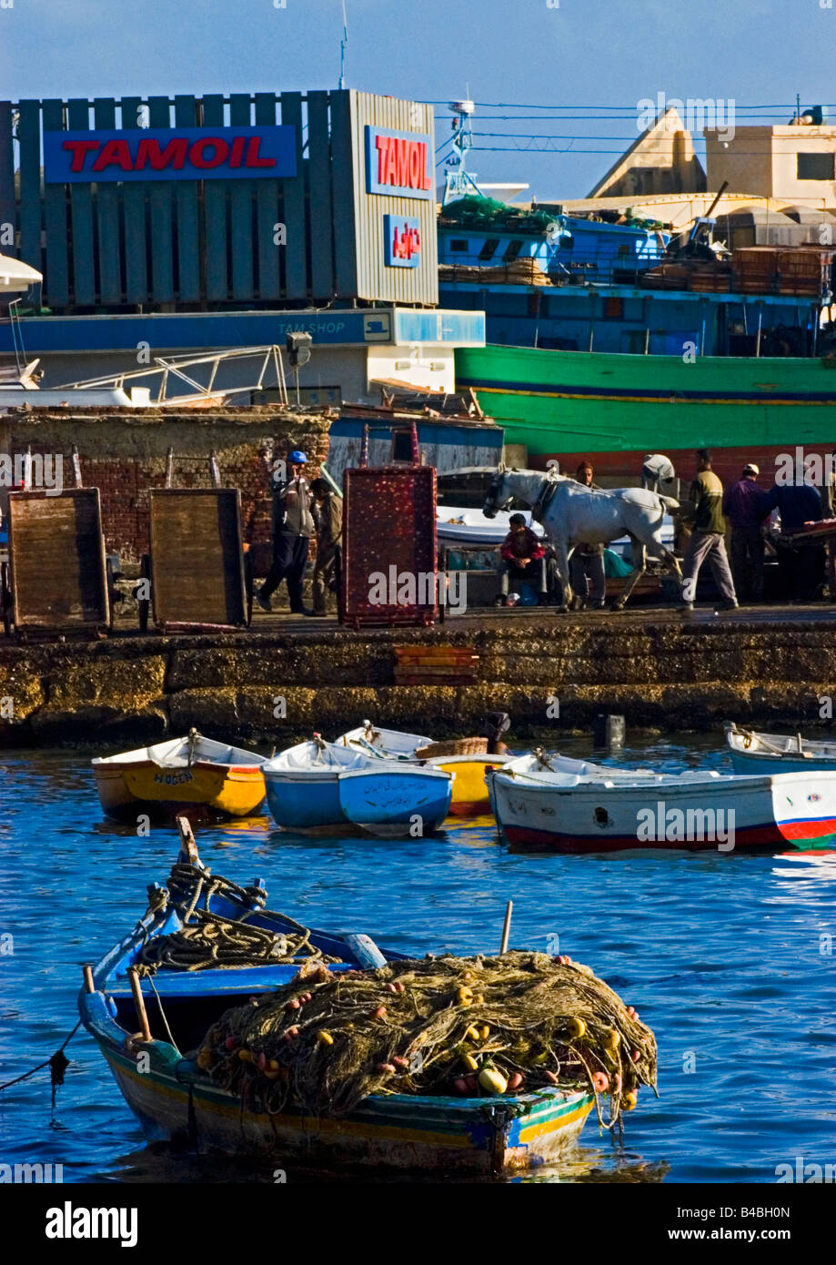 Fishing activities in Egypt Stock Photo Alamy