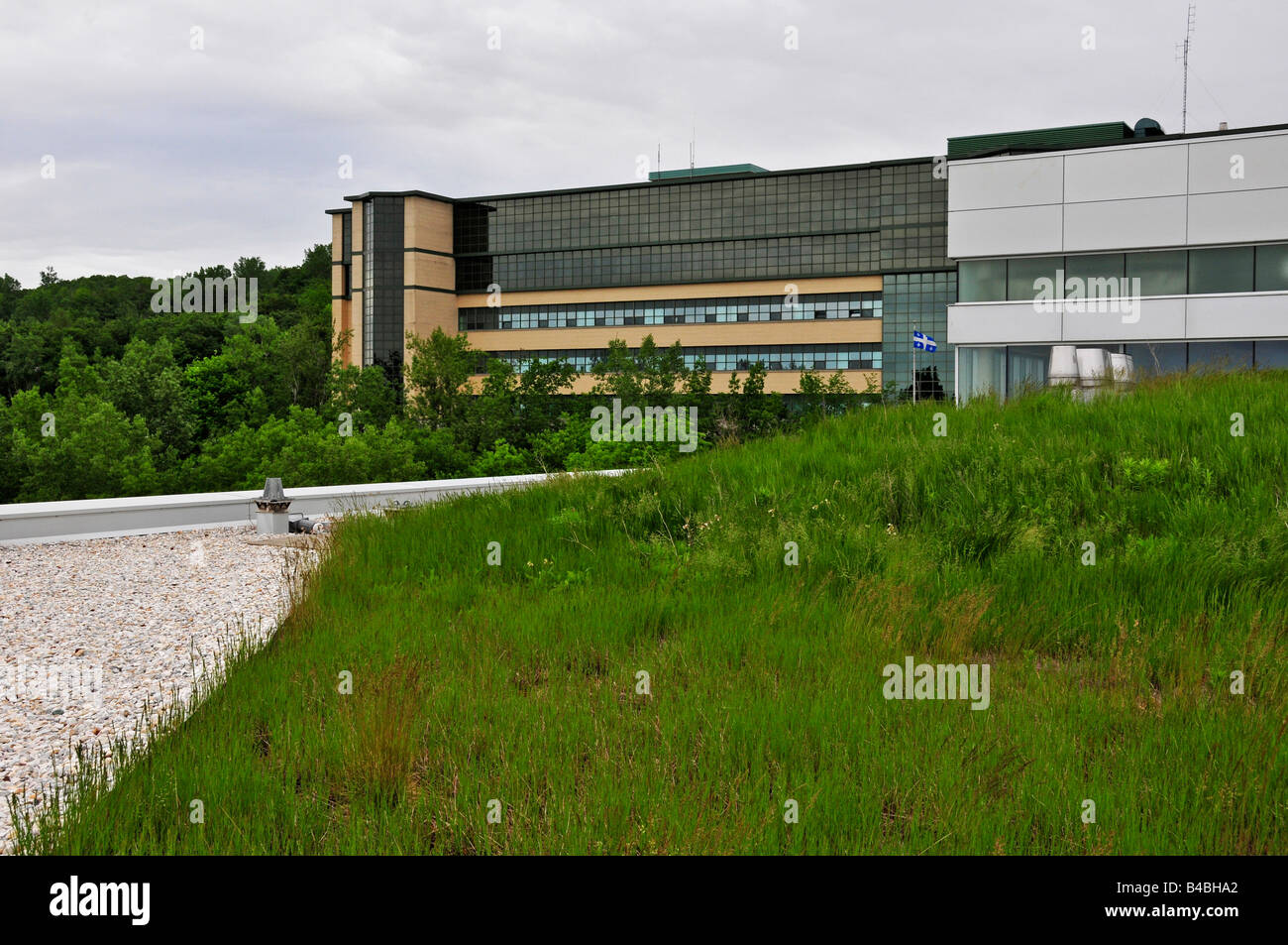 Green rooftop ( certified Leed ) of the Lassonde building of the Polytechnique Engineering University Montreal Stock Photo