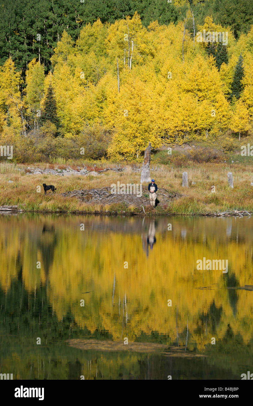 a man fly fishing to brook trout in the fall on a high mountain lake in