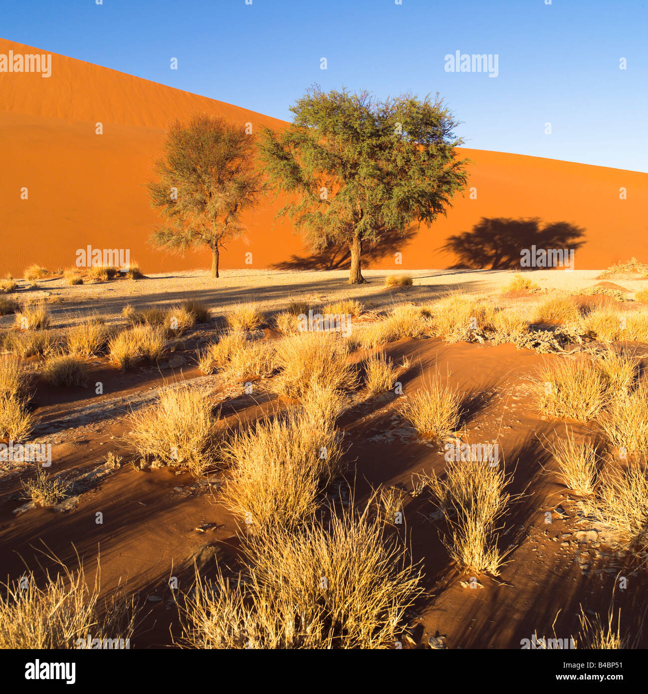 My Image 30
