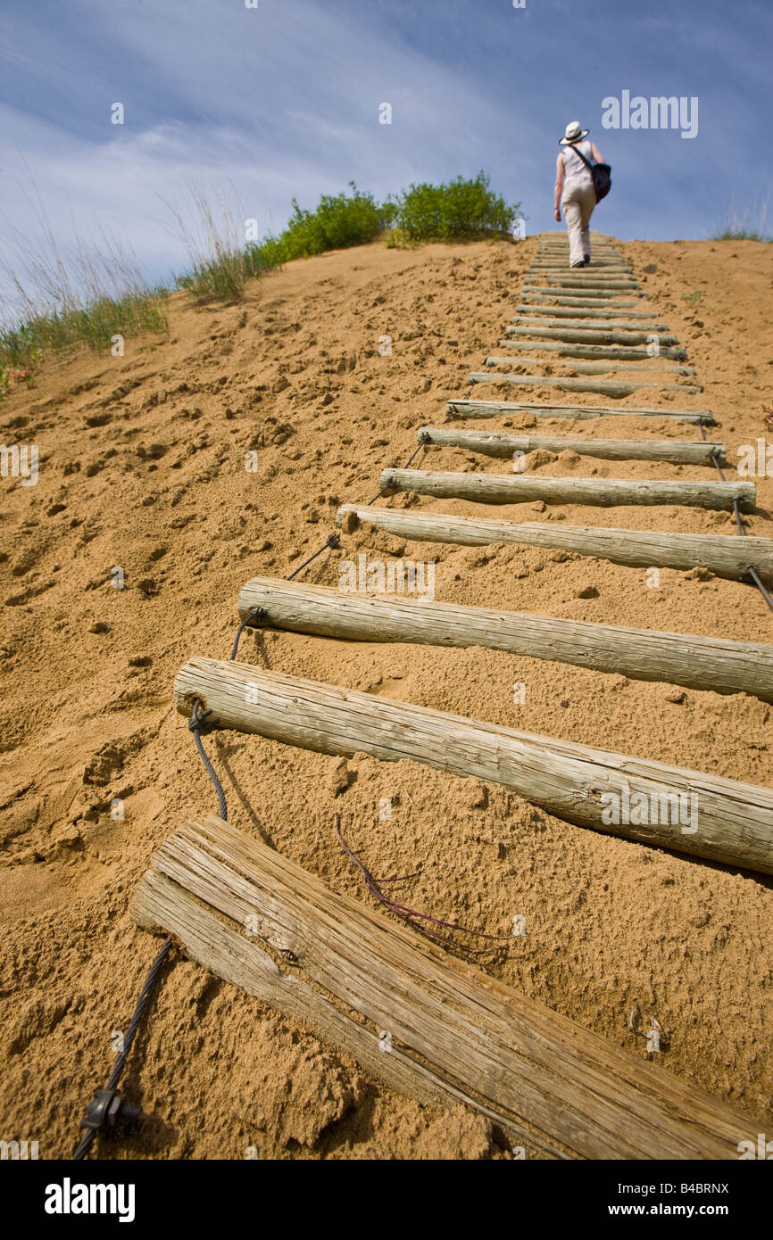 Tourist climbing the Log steps along the Spirit Sands Trail, Spruce Woods Provincial Park, Manitoba, Canada. Model Released. Stock Photo