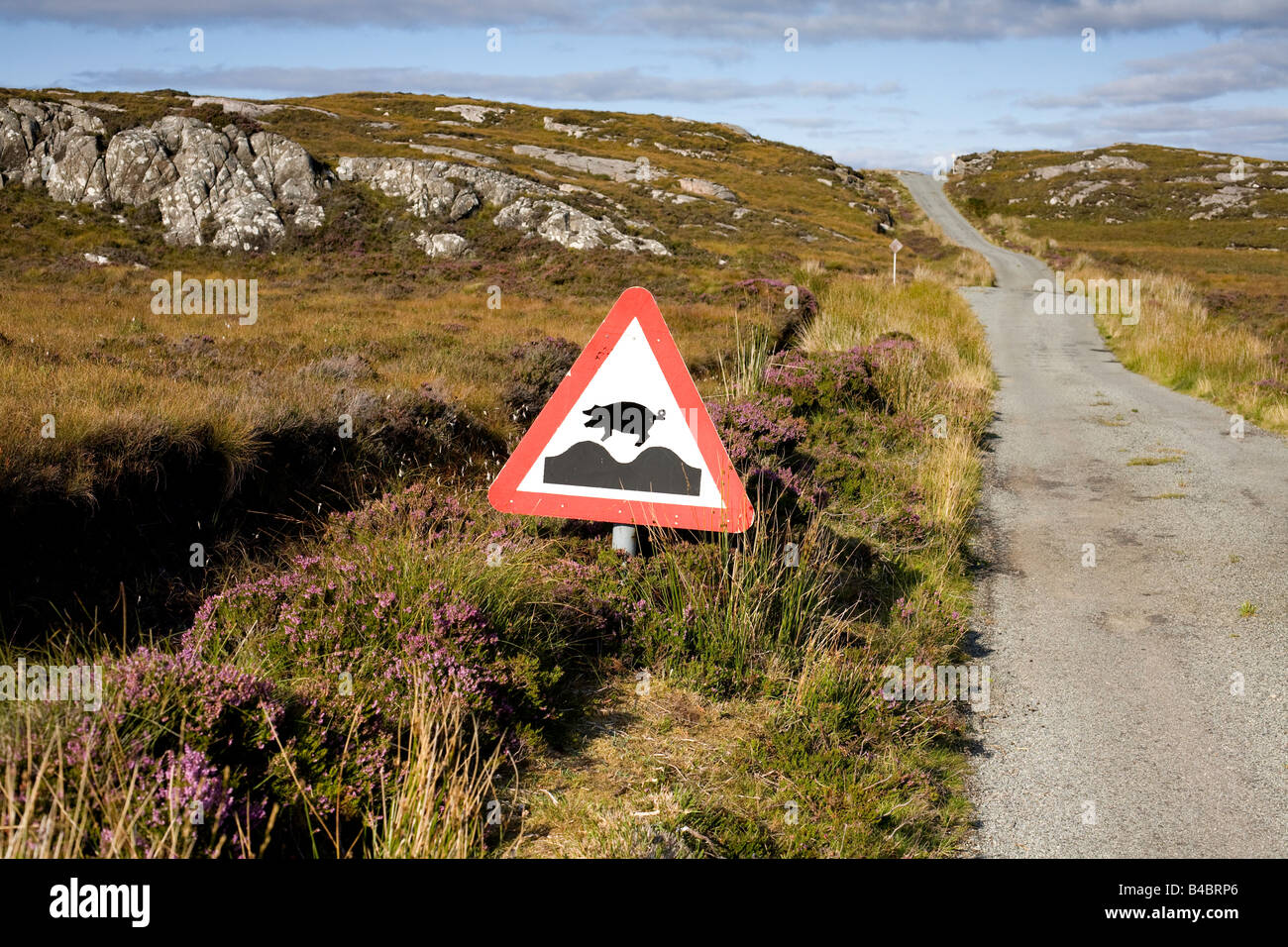 Pigs might fly! - bumpy road on the Isle of Raasay Scotland Stock Photo