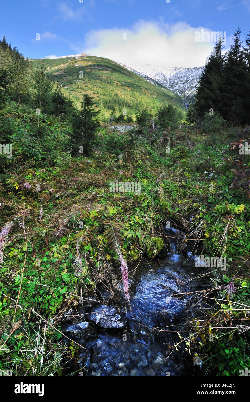 Ziarska dolina wirh blue river Stock Photo