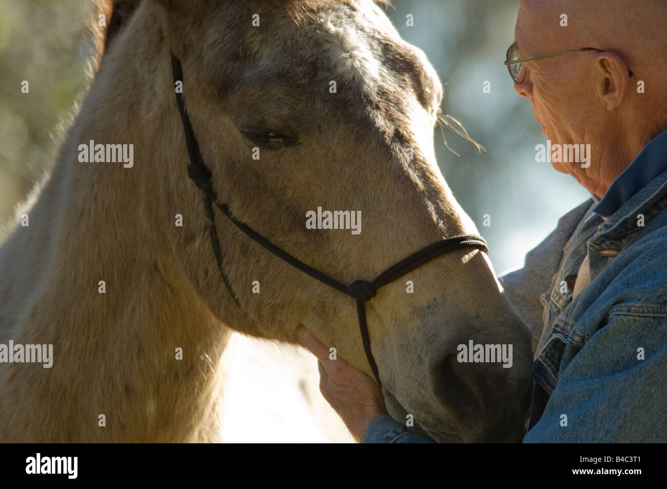 Old man with horse hi-res stock photography and images - Alamy