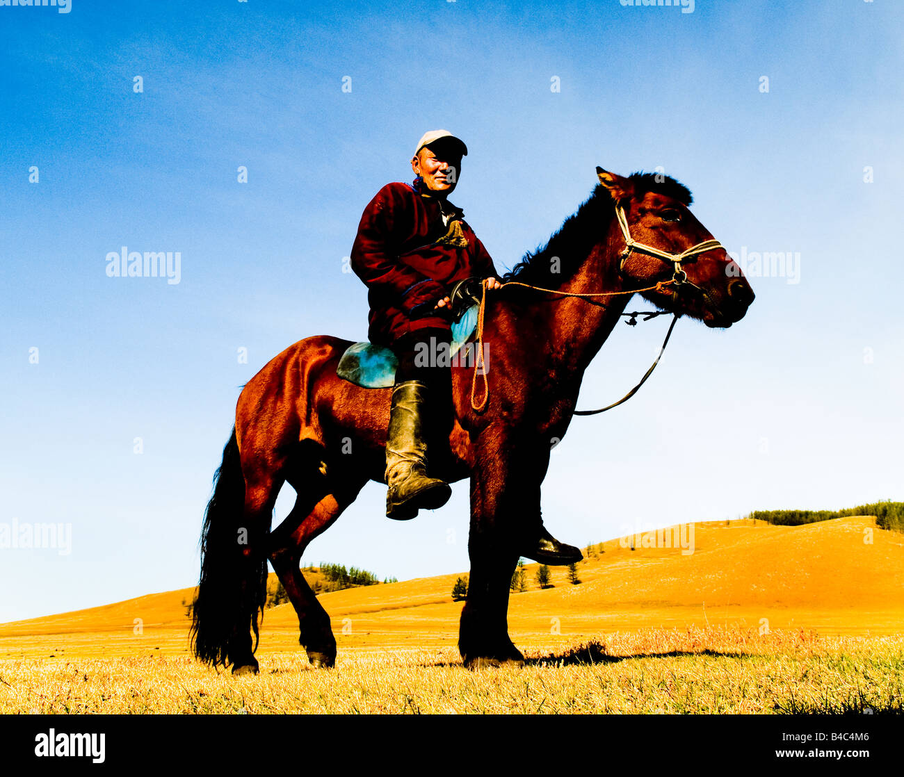 Mongolian nomads in the vast Mongolian grasslands Stock Photo - Alamy