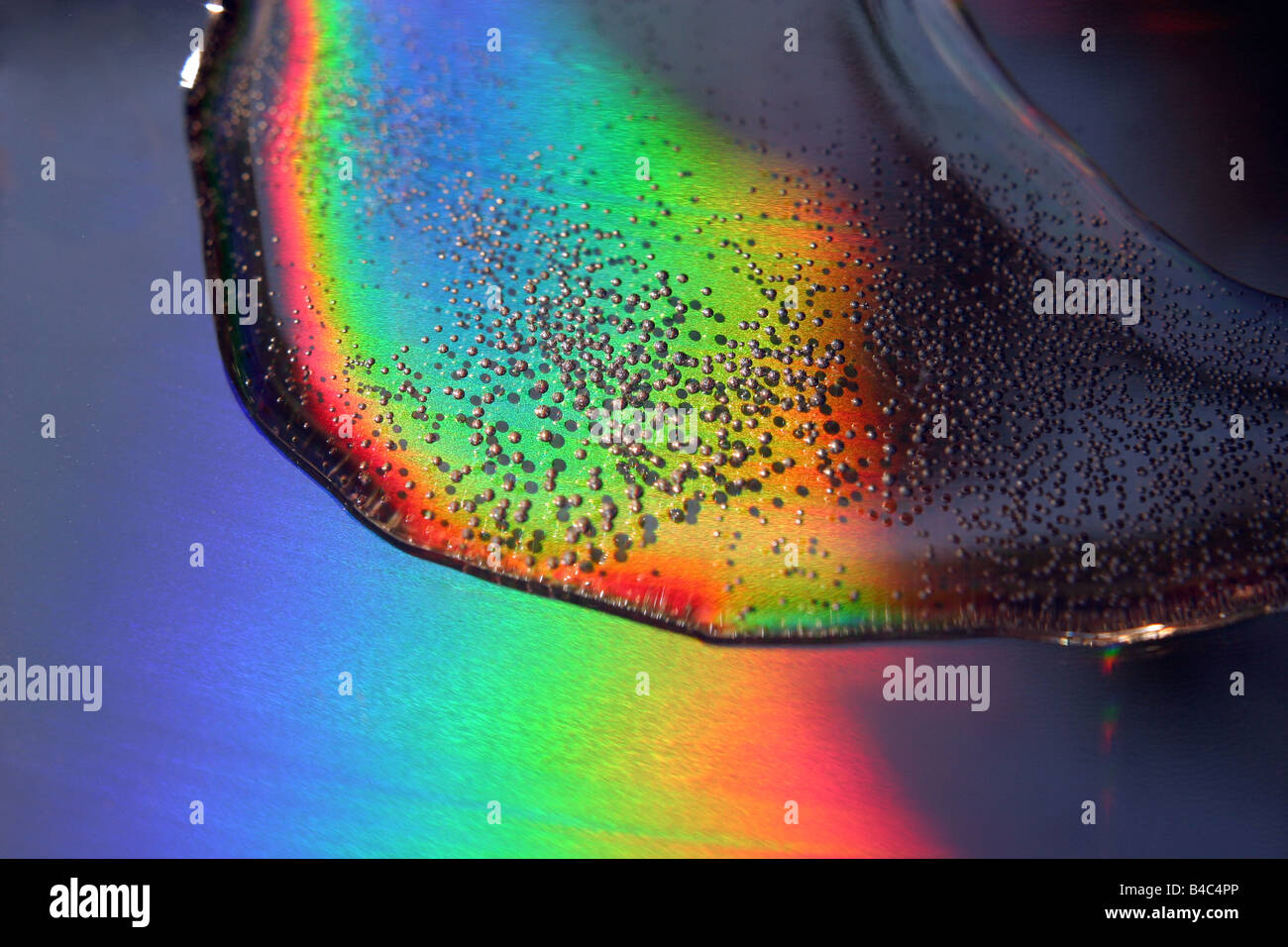 water on surface of lazer disk Stock Photo