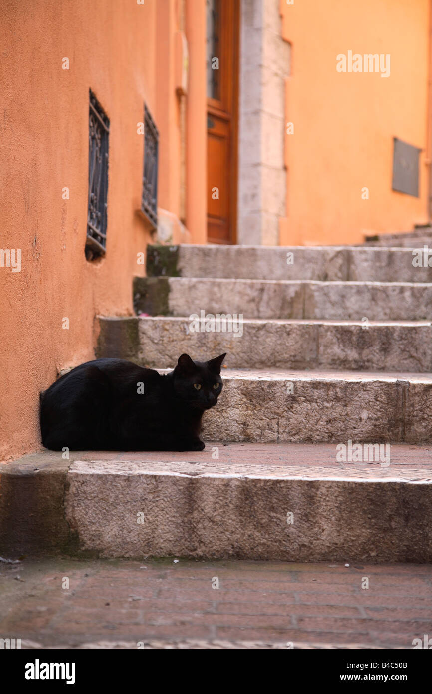 A black cat lying on some steps Stock Photo - Alamy