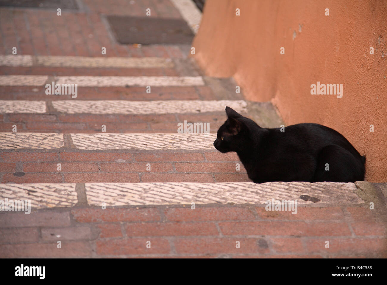 A black cat lying on some steps Stock Photo - Alamy