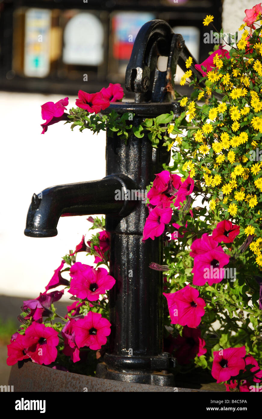 Old water pump with flowers, Lacey Green, Buckinghamshire, England, United Kingdom Stock Photo