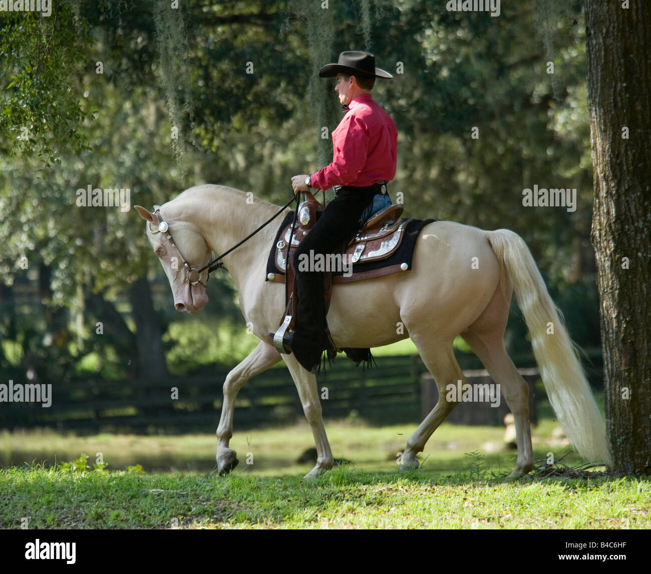 Horse with western rider hi-res stock photography and images - Alamy