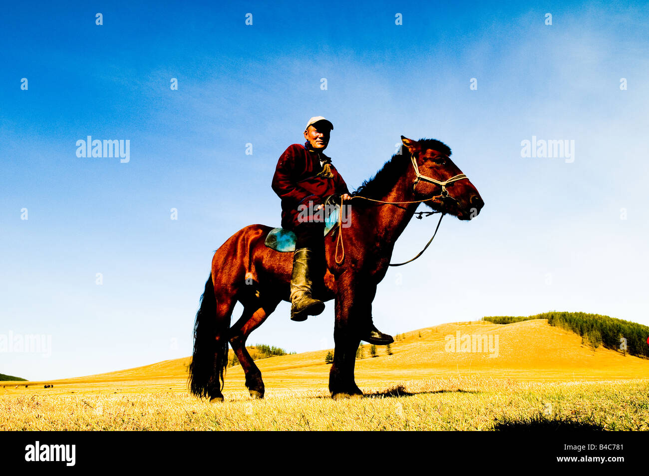 Mongolian nomads in the vast Mongolian grasslands Stock Photo - Alamy