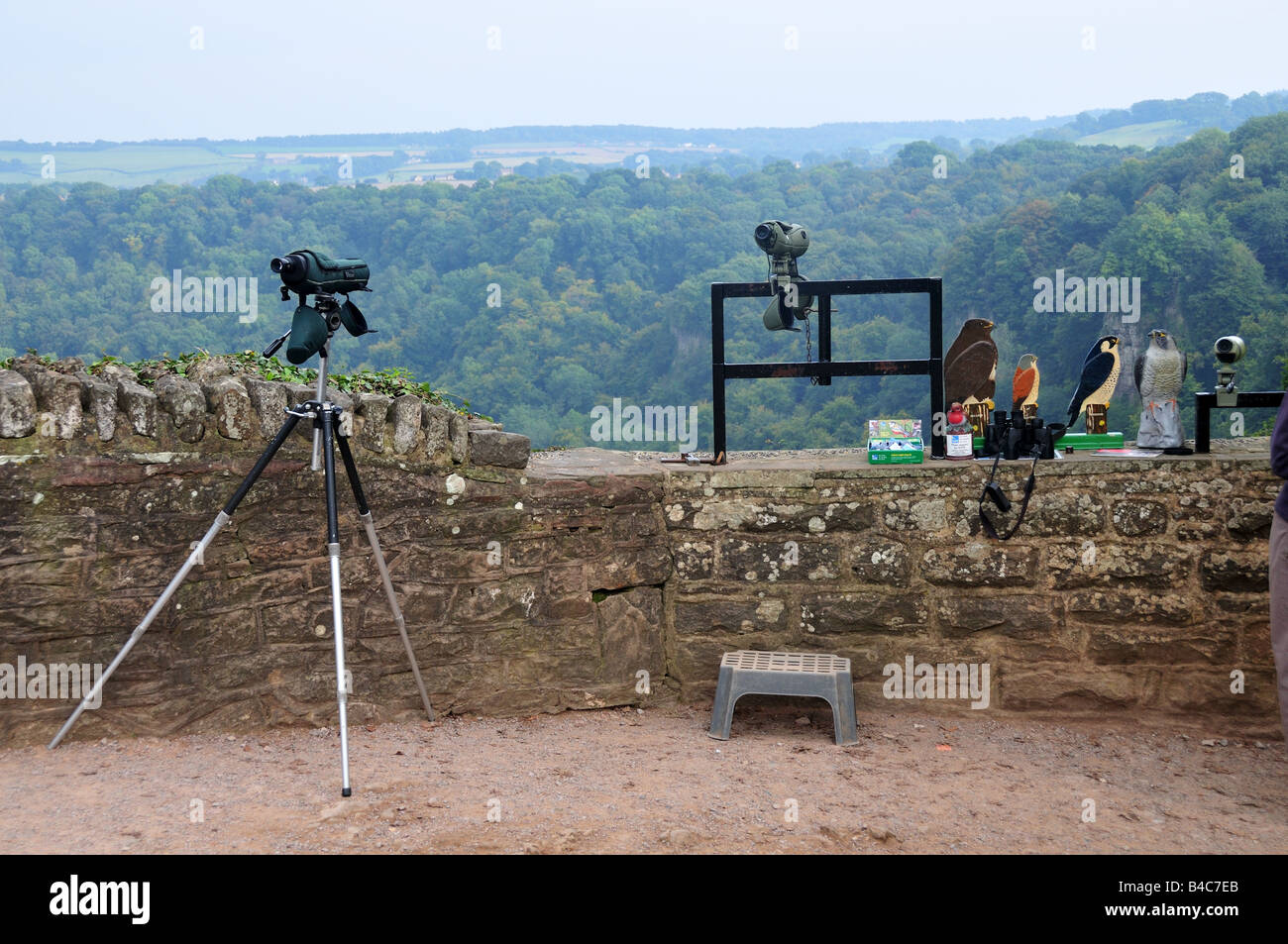 Watching Peregrine Falcons Symonds Yat Stock Photos