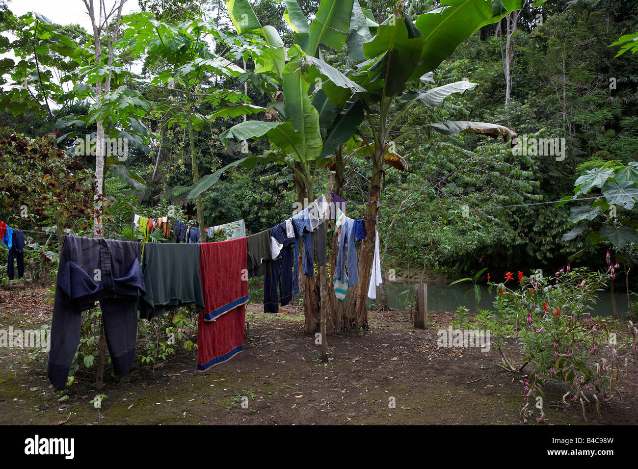 Laundry hanging, Rucu Kausai Guest house, Amazon Rain Forest Stock