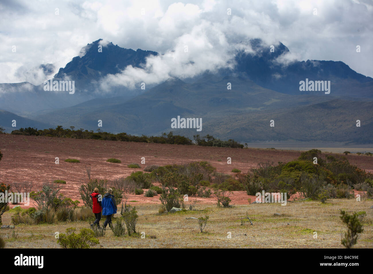 Mt. Cotopaxi Ecuador High Resolution Stock Photography and Images - Alamy