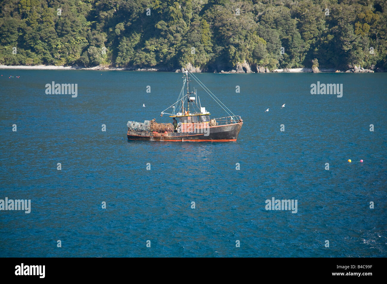 crayfish fishing boat in milford sound,fiordland,new zealand Stock
