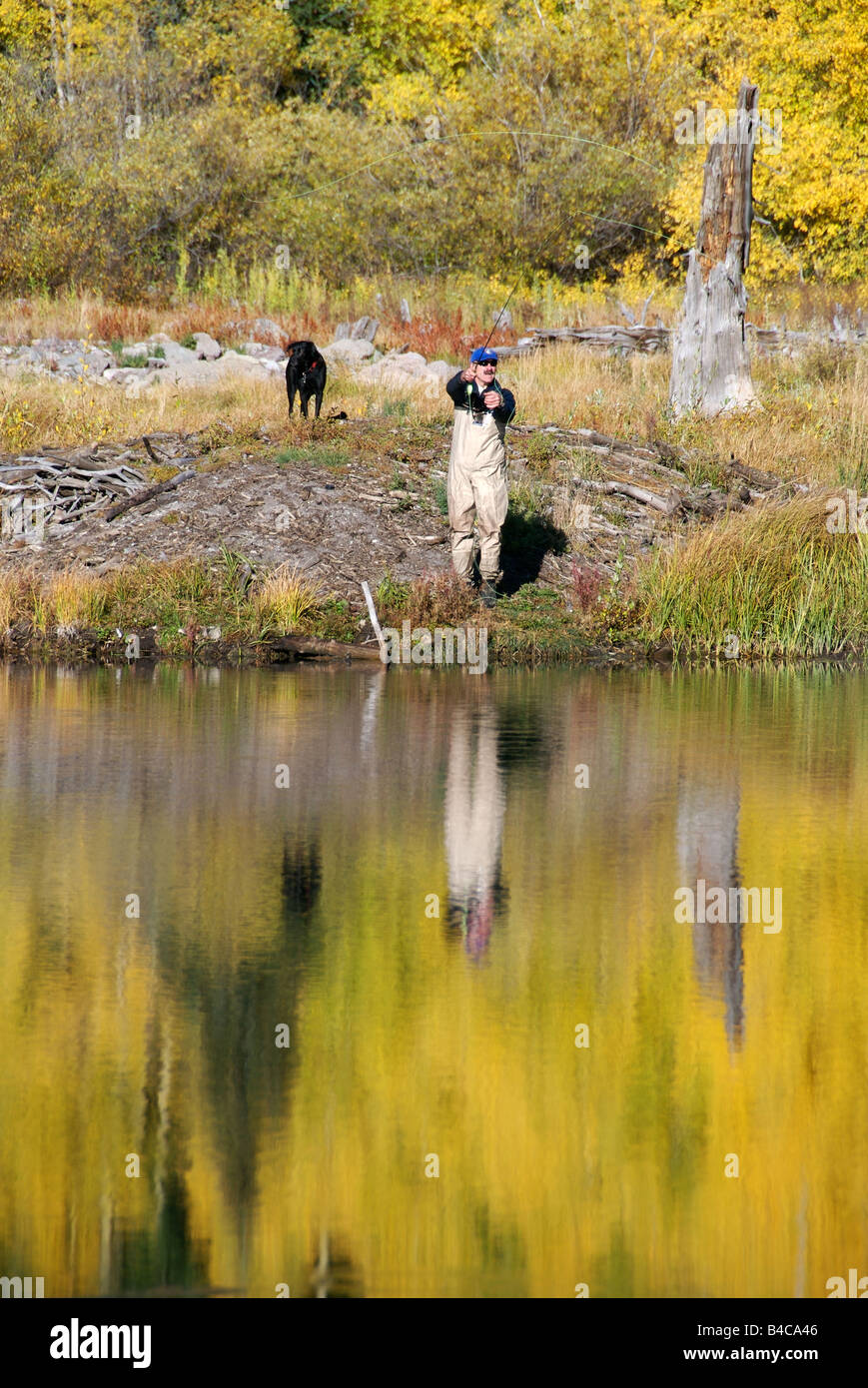 a man fly fishing to brook trout with his dog in the fall on a high