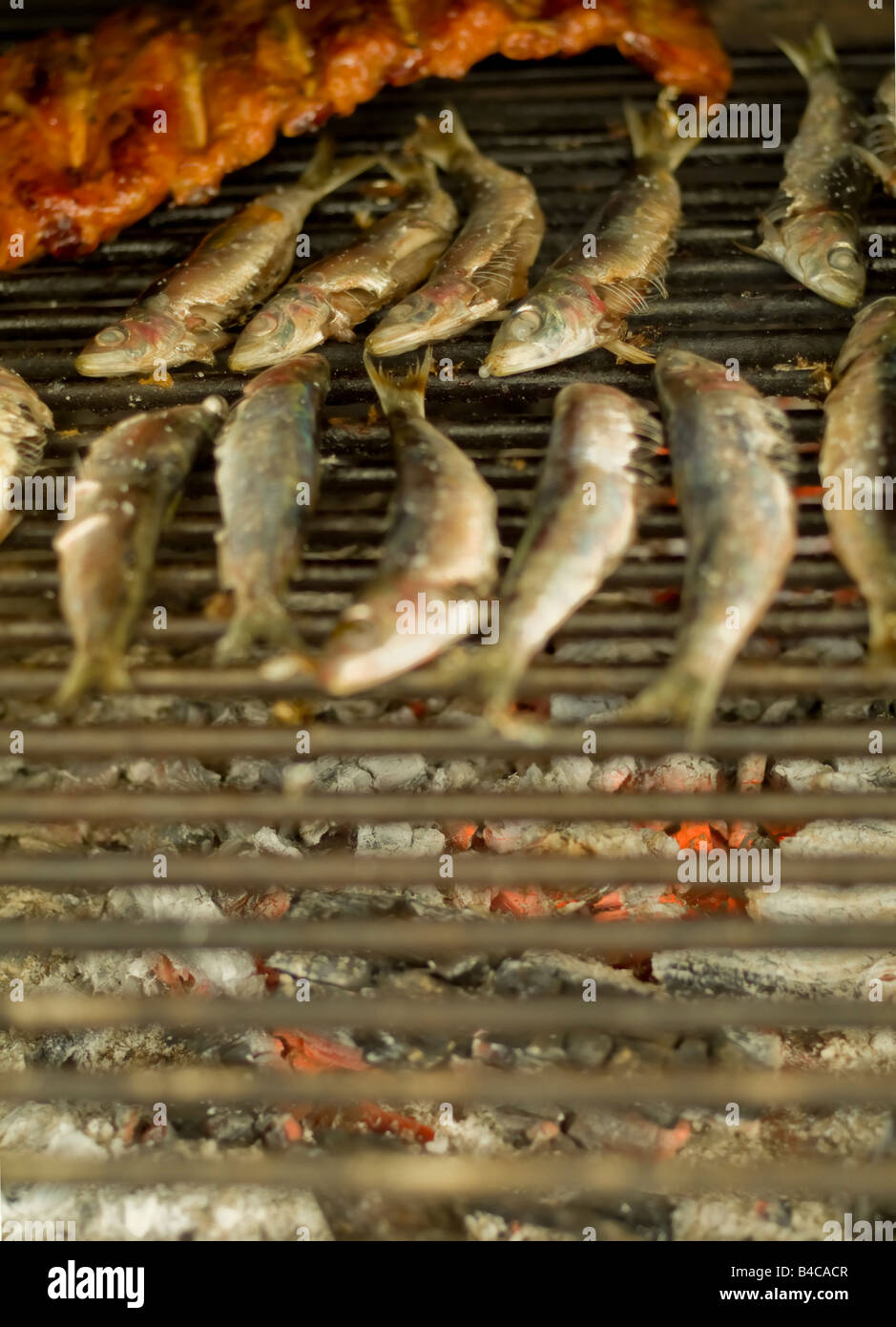 grilled sardines and meat over roasted barbecue grill Stock Photo Alamy