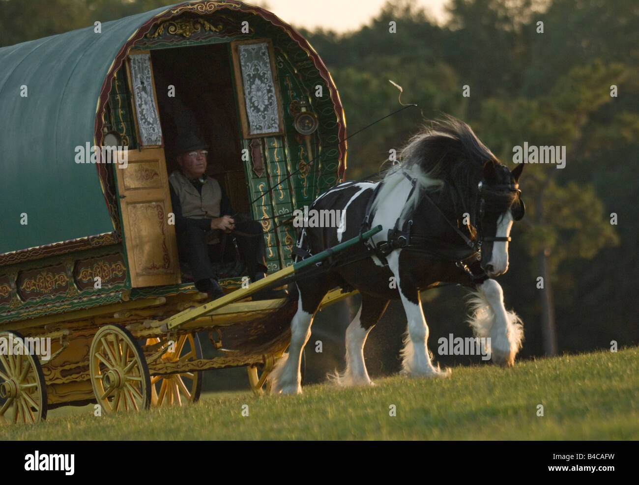 Gypsy caravan or living wagon pulled by Gypsy Vanner horse Stock Photo