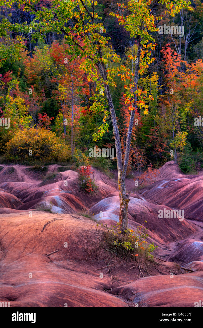 beautiful fall scenery beautiful fall scenery