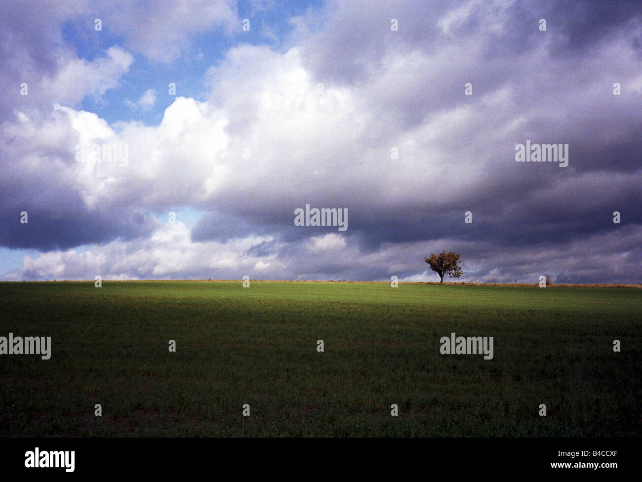 Rural landscape with clouded sky Stock Photo - Alamy