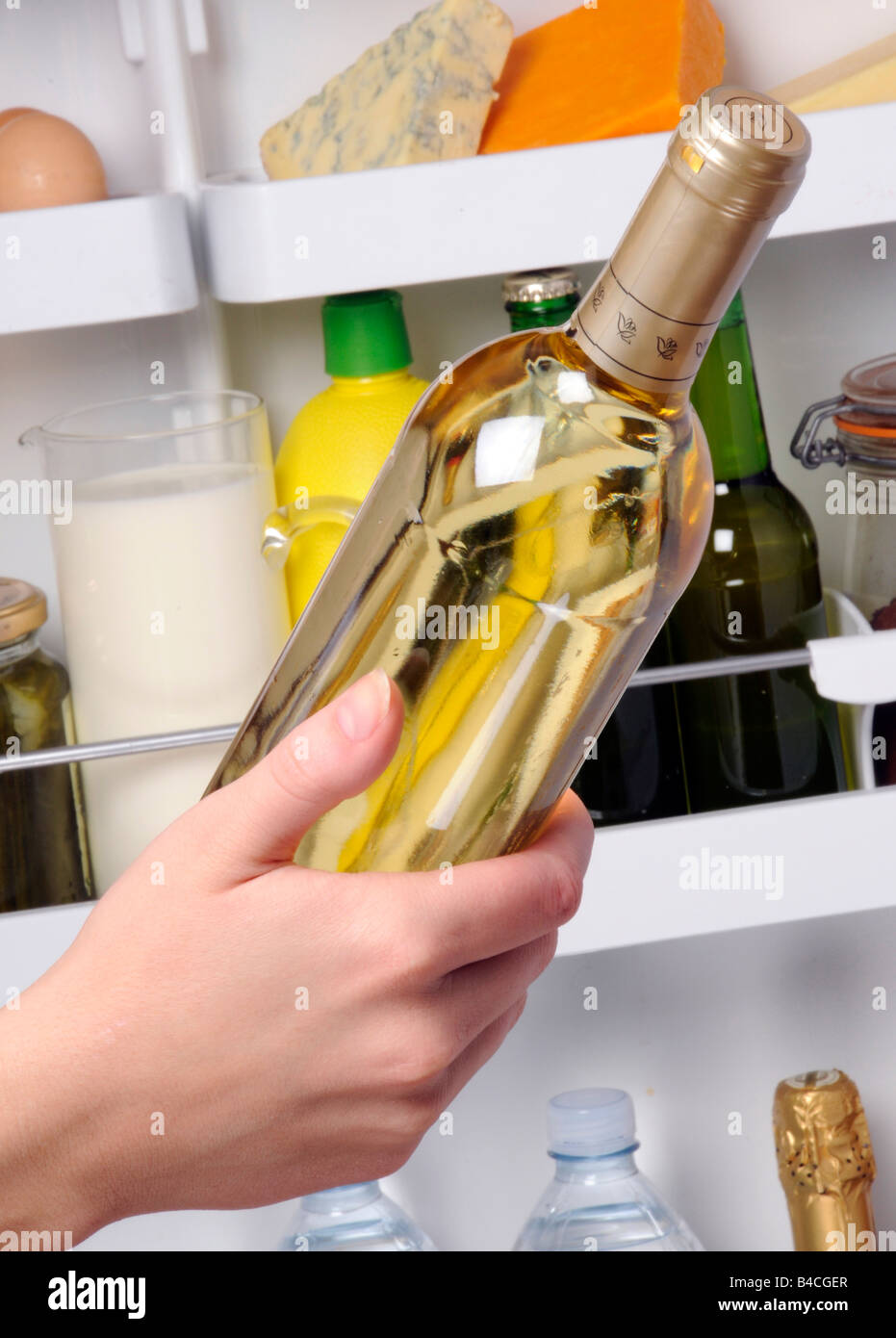 PUTTING WHITE WINE BOTTLE IN FRIDGE Stock Photo