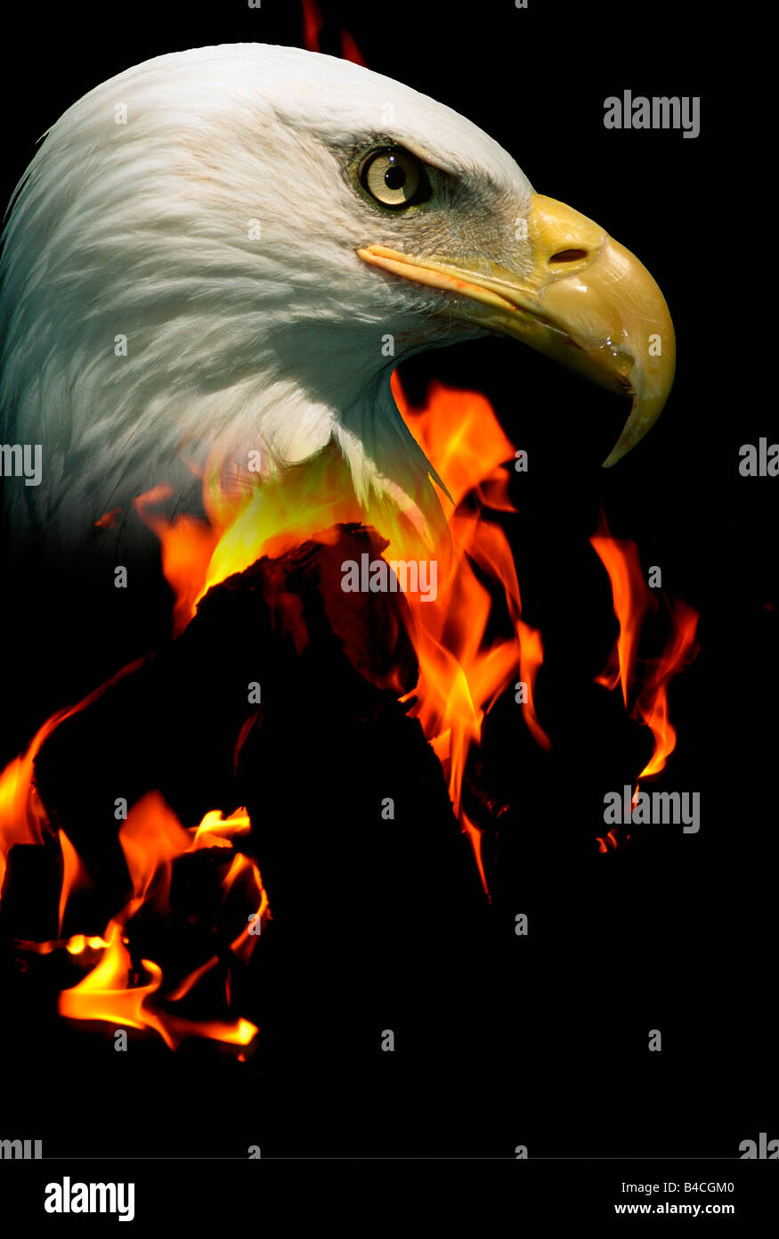 Eagle fire hi-res stock photography and images - Alamy
