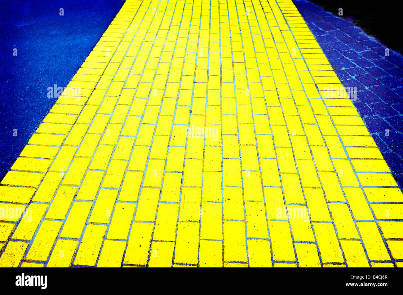 Yellow Brick Road Wizard of Oz Button Down – THE-ECHELON