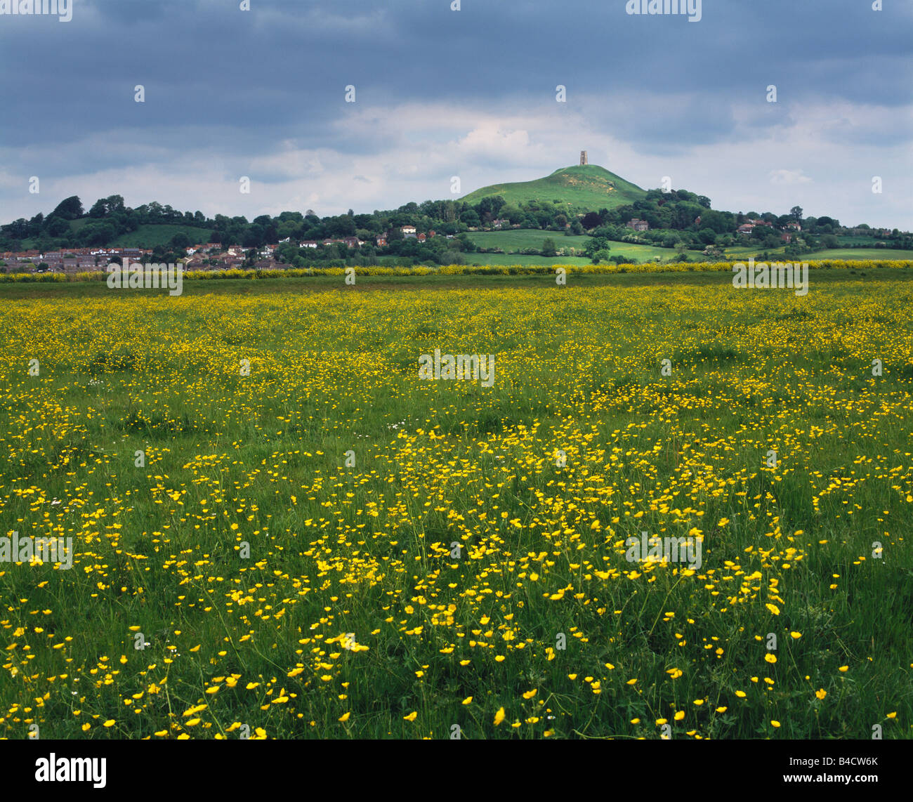 Glastonbury Tor viewed from South Moor on The Somerset Levels, Glastonbury, Somerset, England Stock Photo