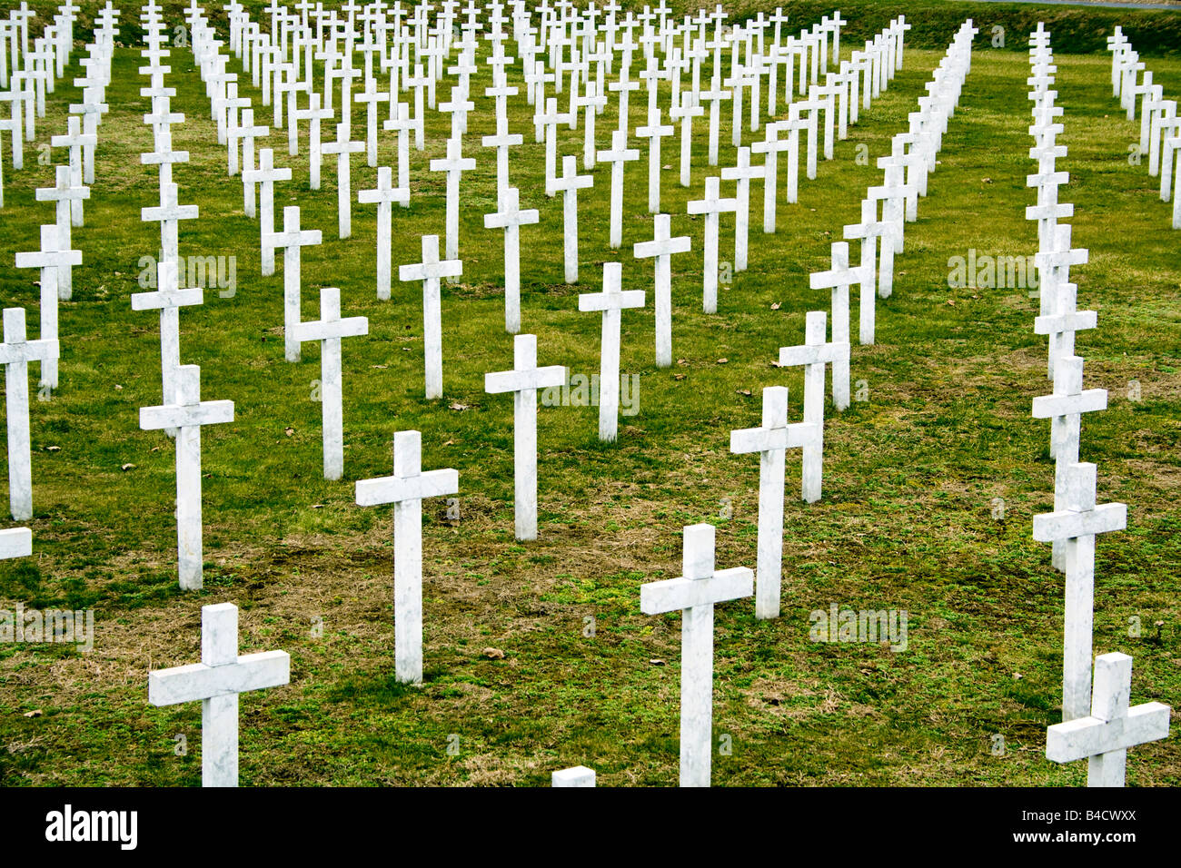 CROATIA, VUKOVAR. Cemetary in Vukovar of the Croatian soldiers killed in the defence of the city. Stock Photo