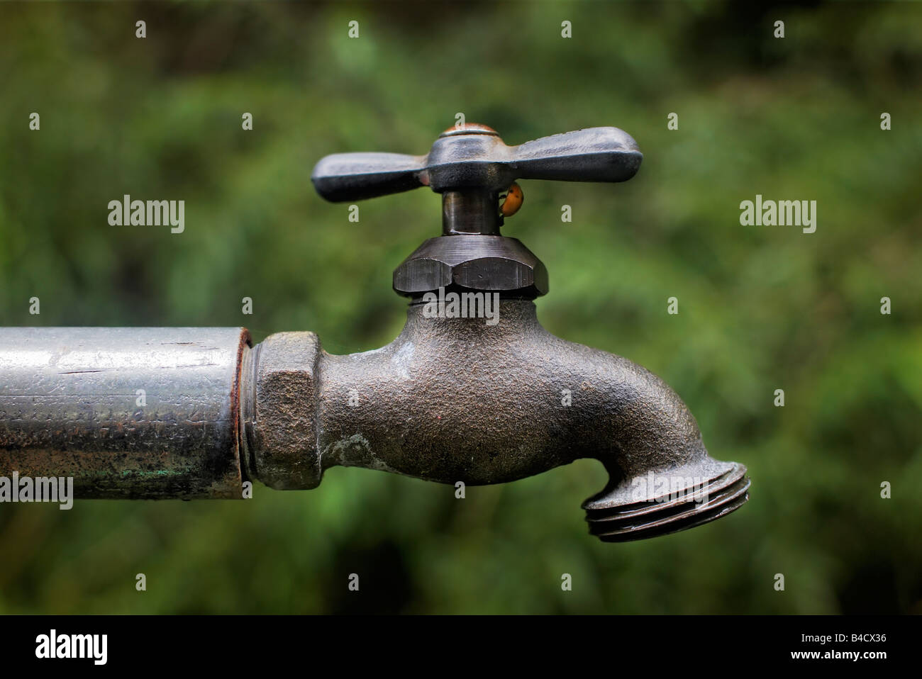 A ladybug climbs on a tap for dispensing fresh spring water from the ...