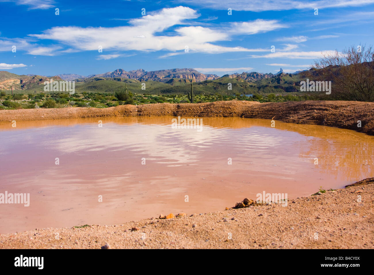 Giant mud hole in the desert outisde Phoenix AZ. Just north of Saguaro