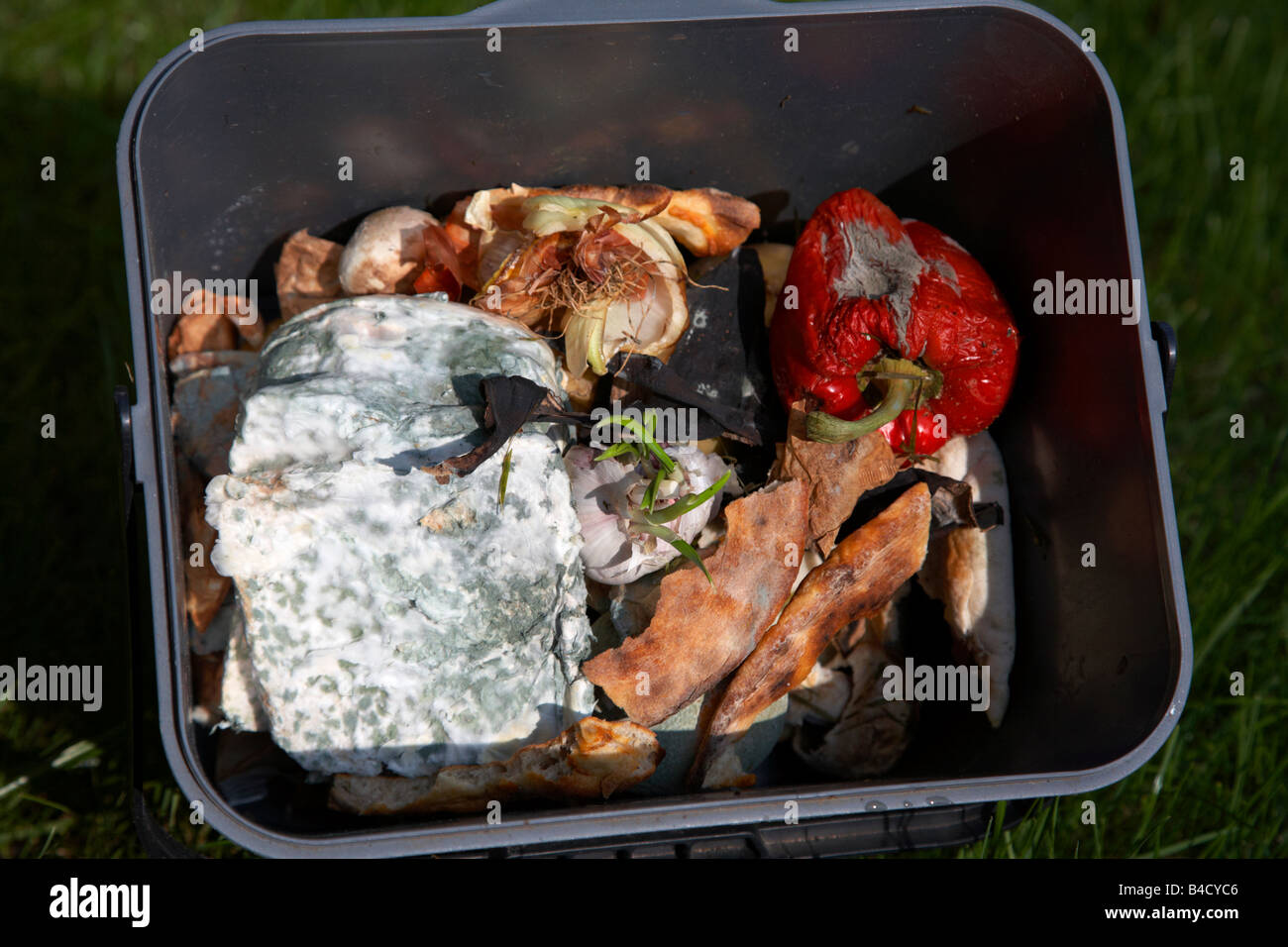 rotting wasted food thrown out by a household into a bokashi kitchen recycling bin in the uk Stock Photo