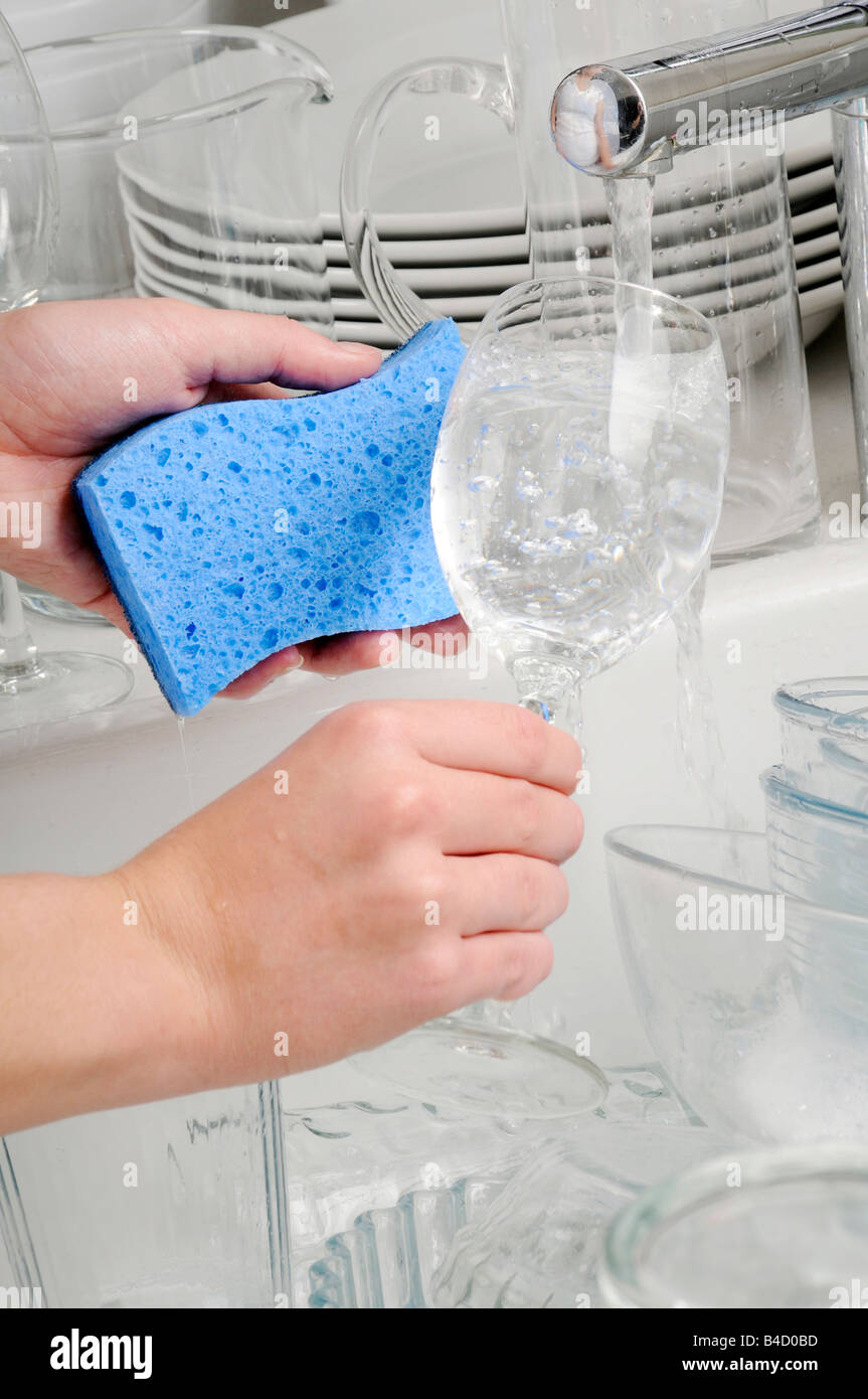 WOMAN WASHING GLASSWARE Stock Photo Alamy