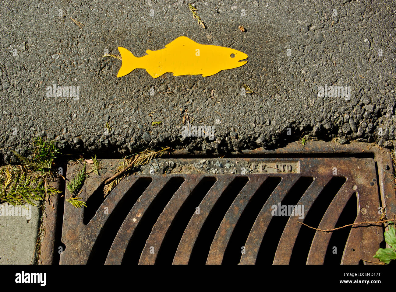 Warning sign that the contents of a city street storm sewer drain will empty into a salmon spawning stream Stock Photo