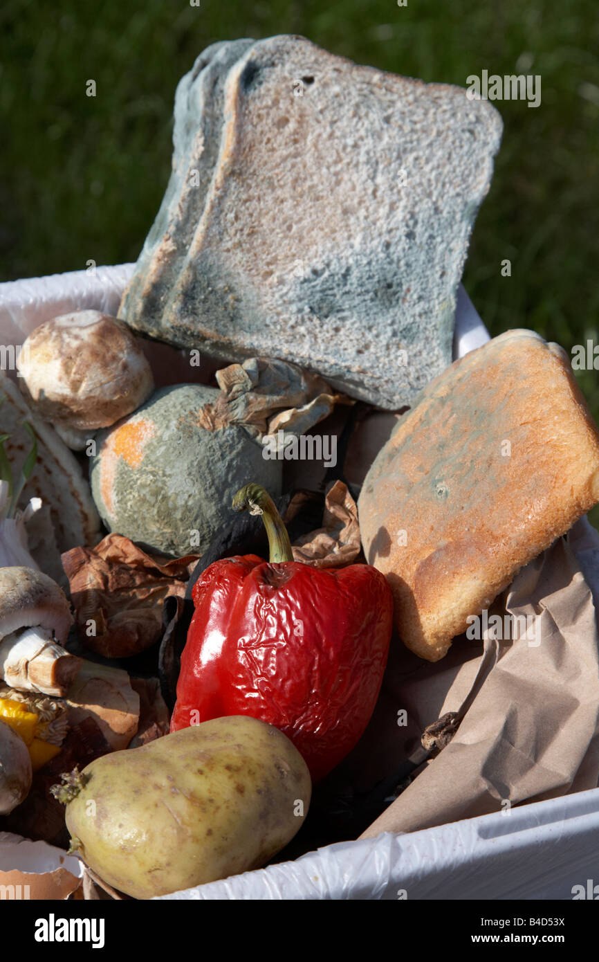 rotting wasted food thrown out by a household into the bin in the uk Stock Photo