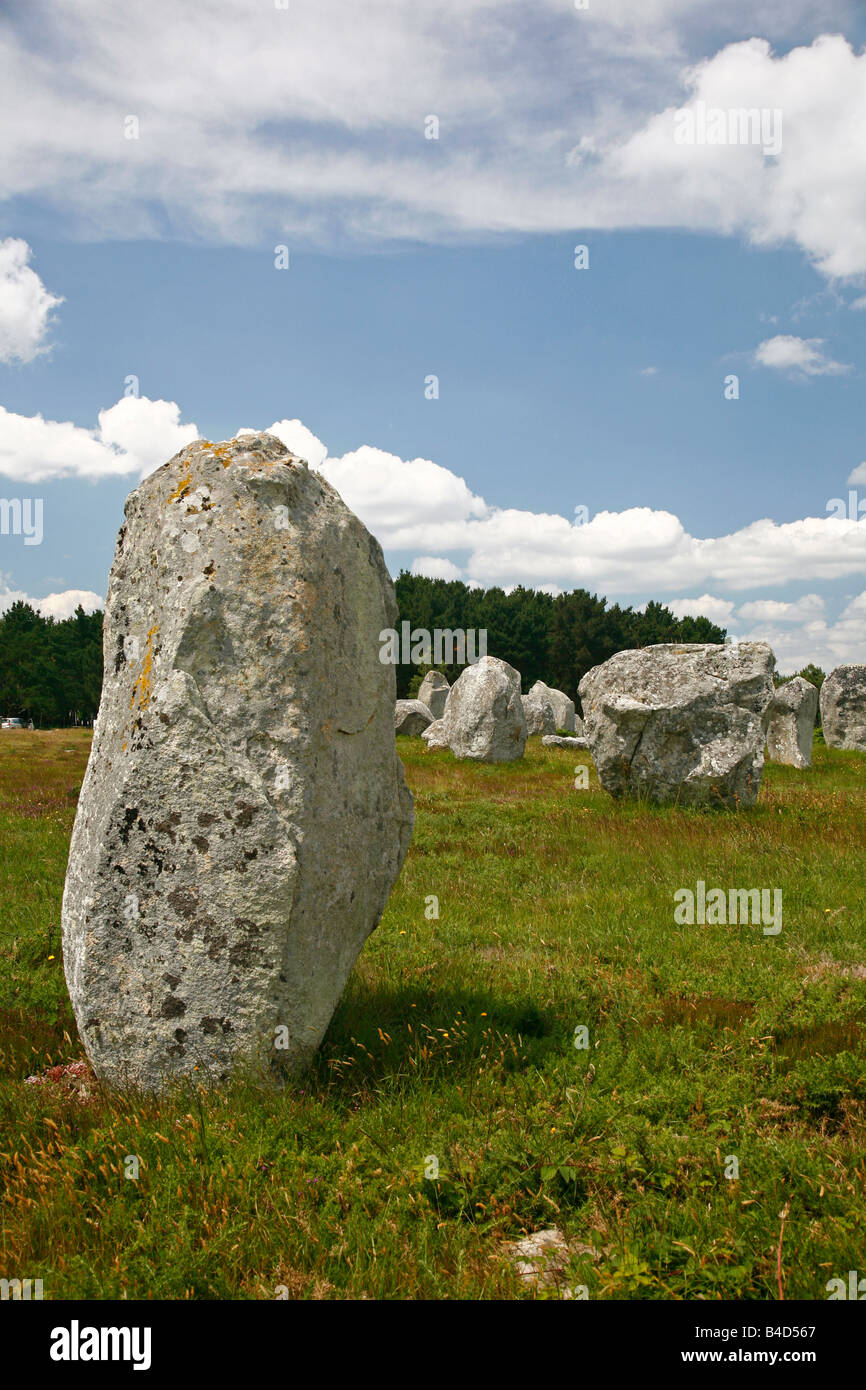 July 2008 - Megalithic stones alignments de Kremario Carnac Morbihan Brittany France Stock Photo