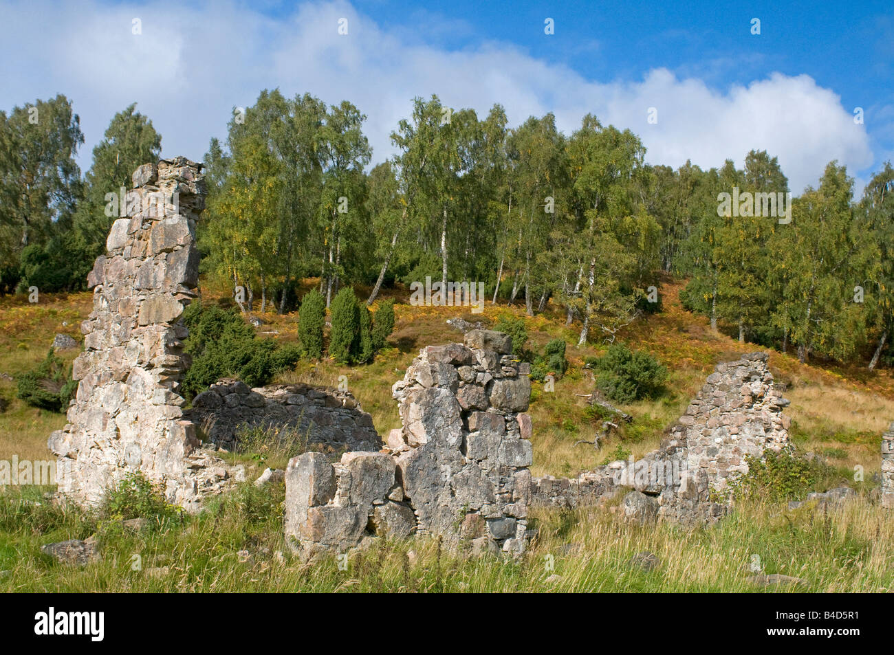 Ruined Cottage at Sluggan on the River Dulnain Reidhaven Seafield Estate Carrbridge Inverness-shire Highland Region Stock Photo