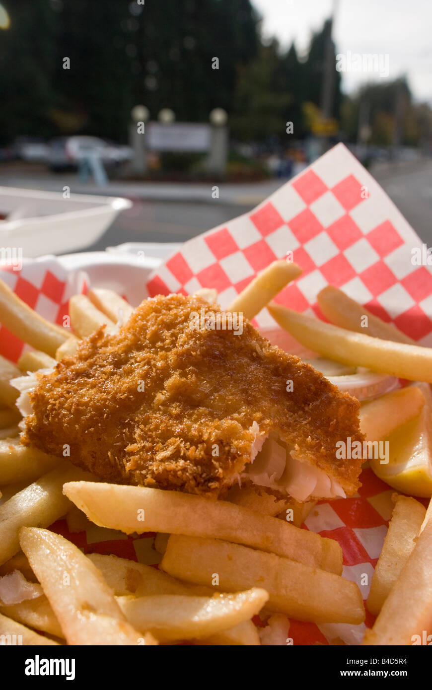 A close up of a serve of fish and chips sered at Ballard Locks, Seattle
