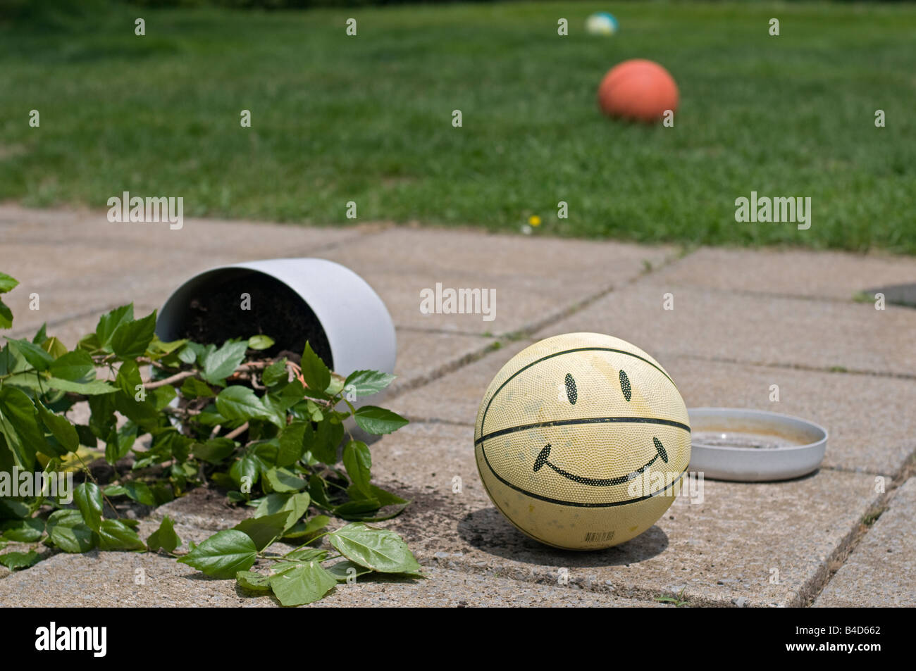 Flowerpot with plant smashed down on the paved ground by a ball Stock ...