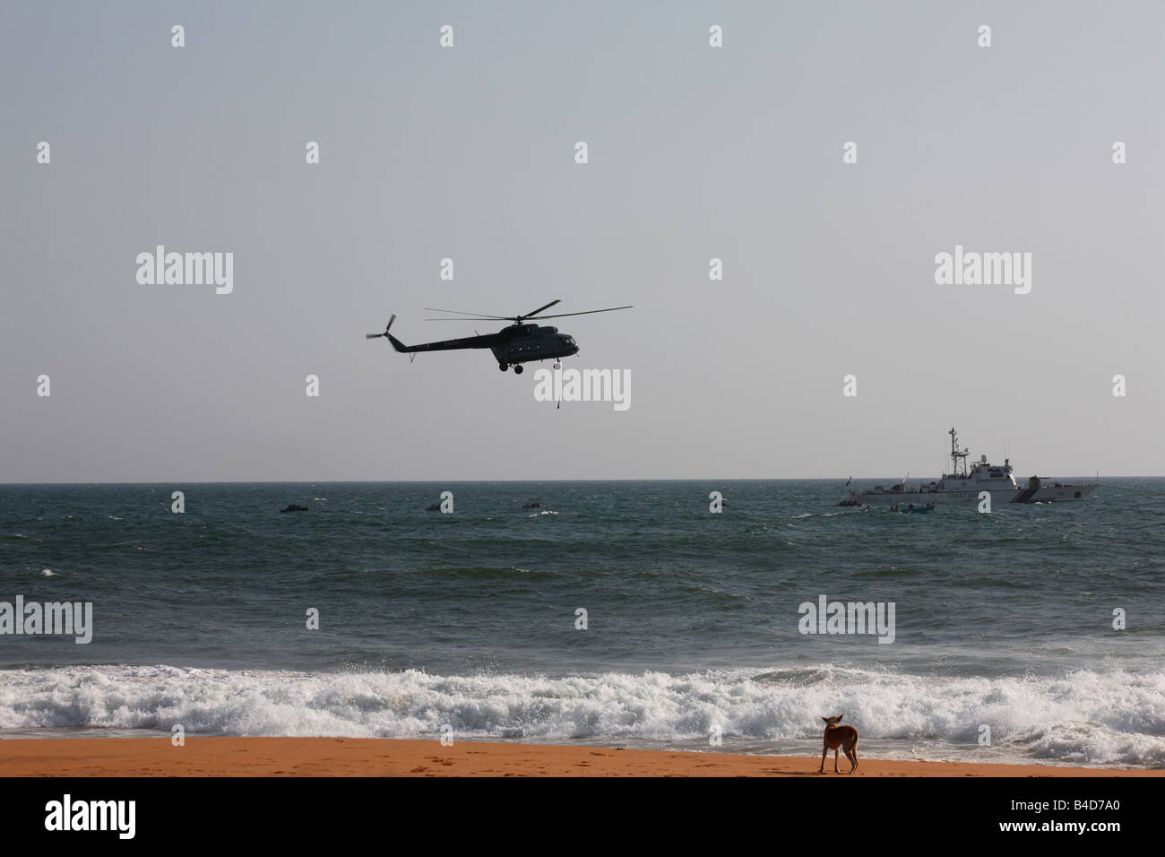 Slithering operation hi-res stock photography and images - Alamy