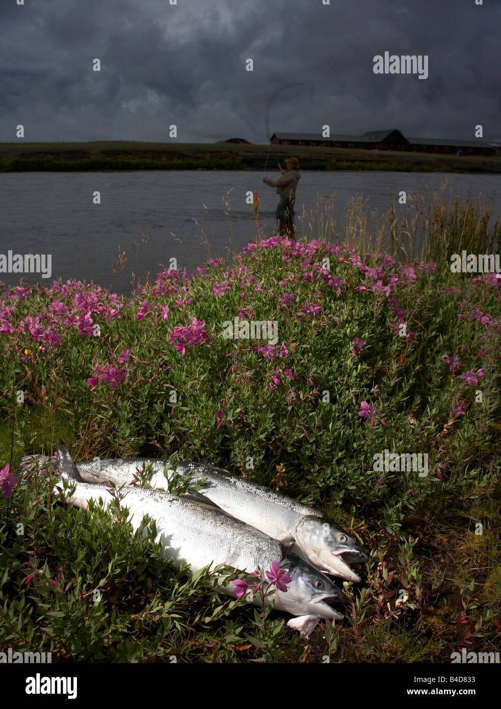 Fishermen cathing salmon in a river by Hotel Ranga, Iceland Stock Photo