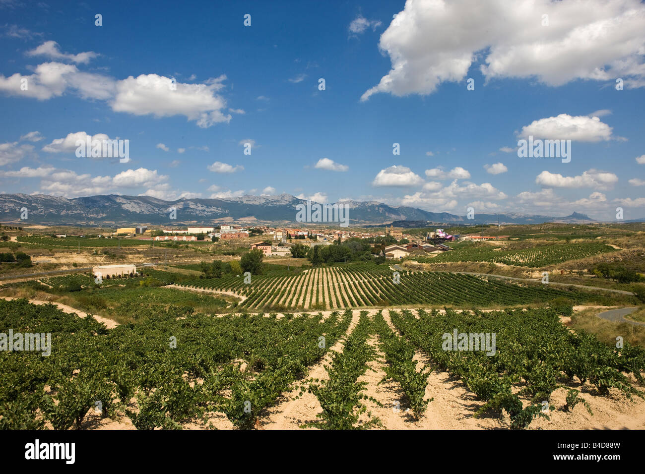 The vineyards around the town of El Ciego, in the Rioja Alavesa region of Spain Stock Photo