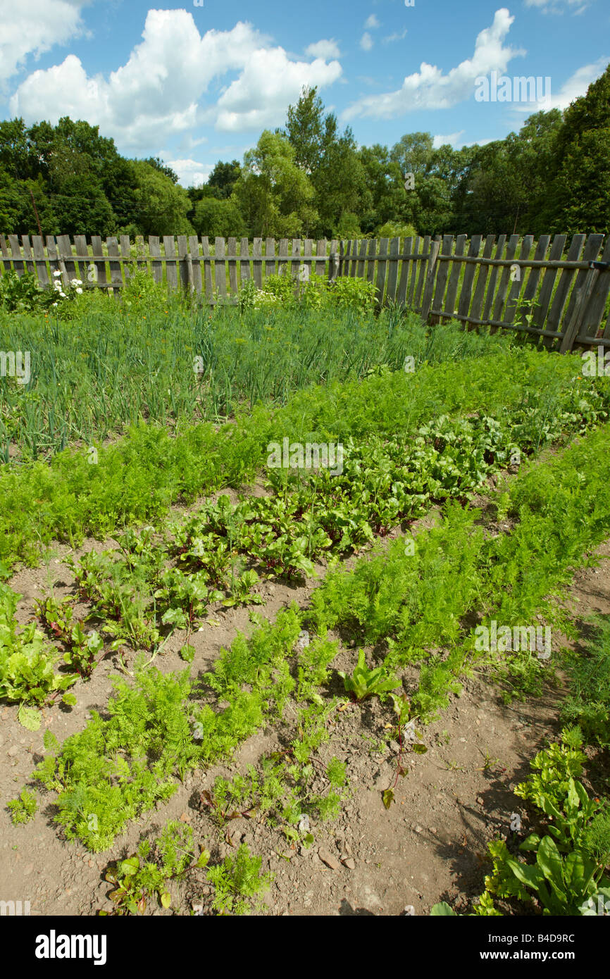 Vegetable garden at a dacha. Kaluga region, Central Russia. Stock Photo