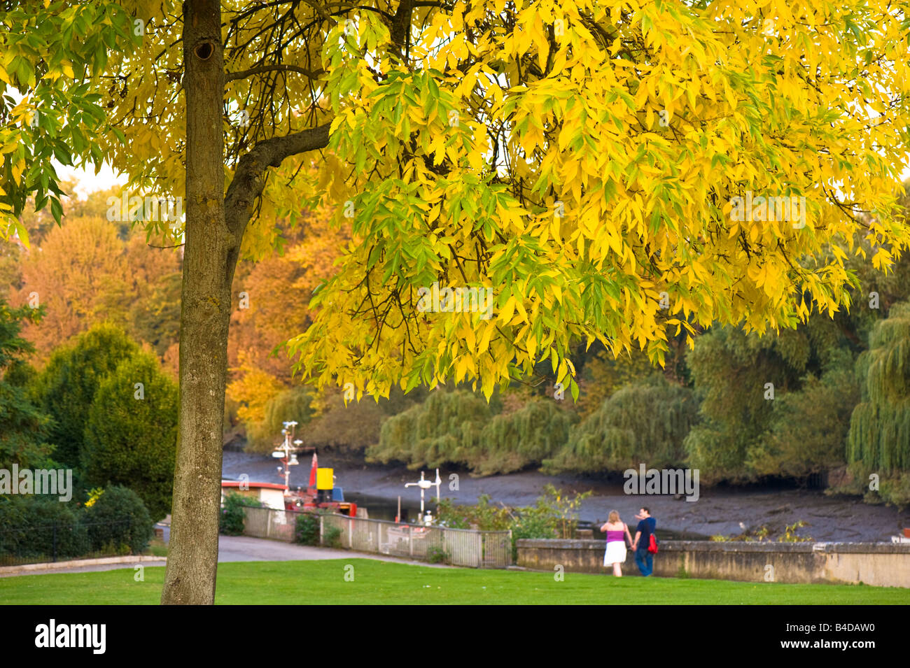 Autumn colours by Thames riverside Brentford TW8 London United Kingdom Stock Photo