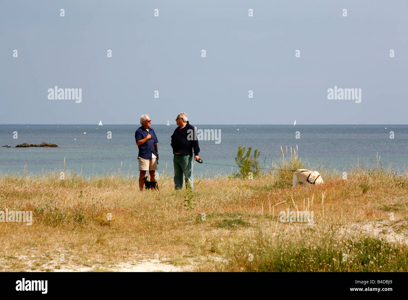 July 2008 - People walking with their dogs by the beach in carnac Morbihan Coast Brittany France Stock Photo