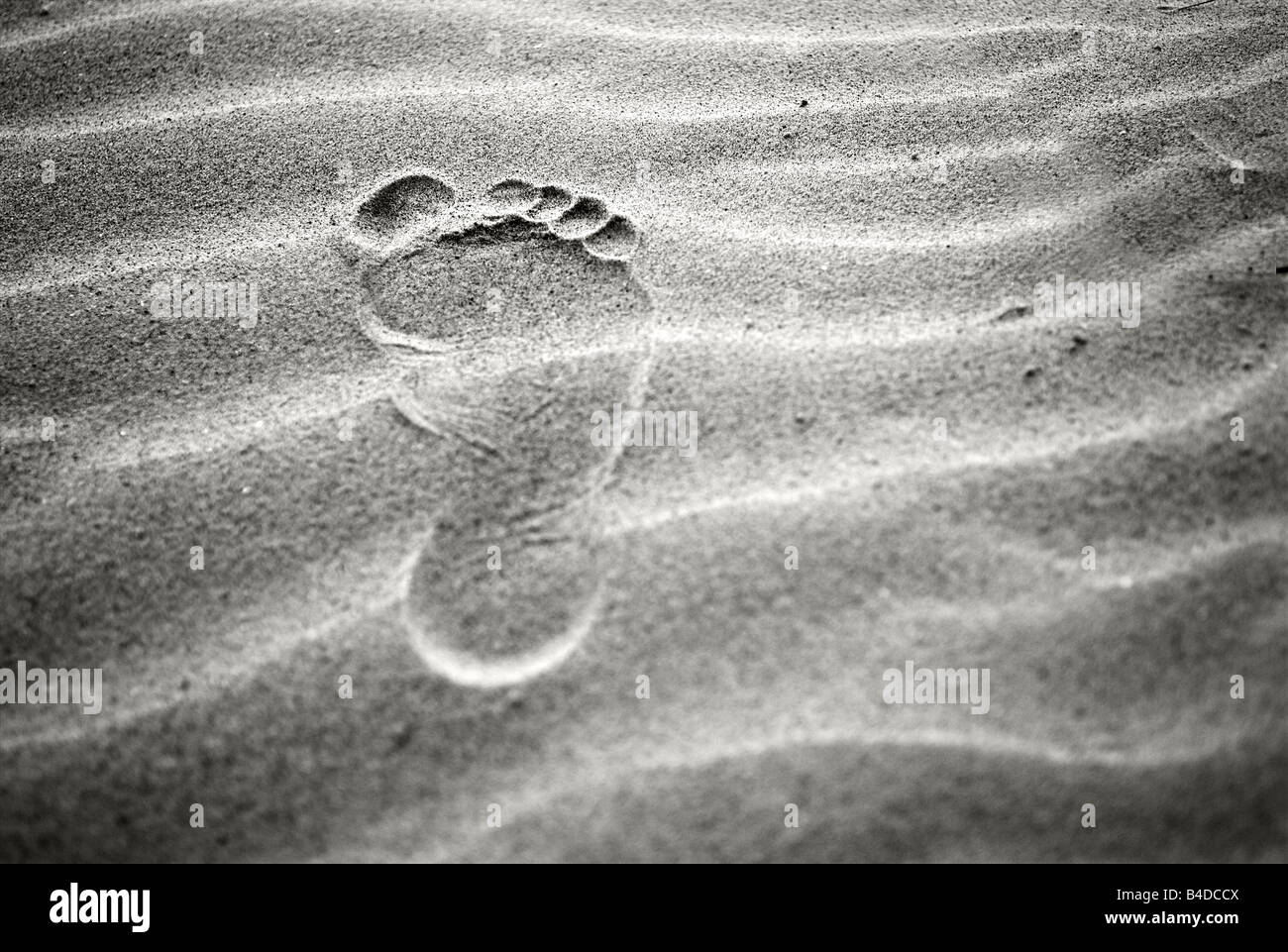 Foot print in the sand Stock Photo - Alamy