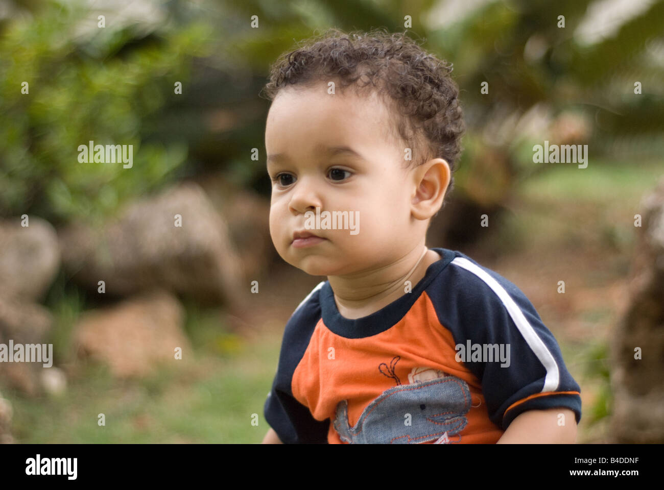 Latino Boy In Park Stock Photos Latino Boy In Park Stock Images